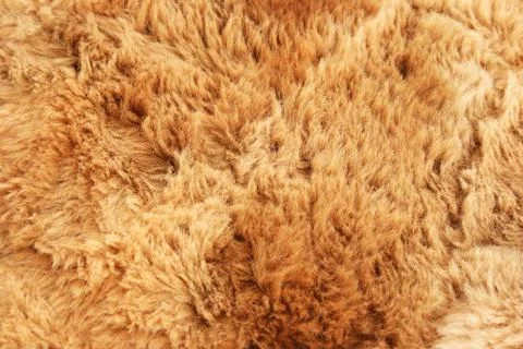Fur background Stock Illustration