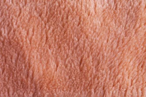 Fur background Foto stock