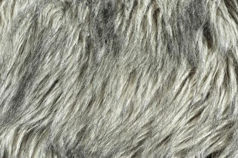 Fur background Stock Photos