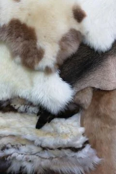 Fur background Stock Photos