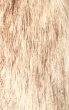Fur background Stock Photos