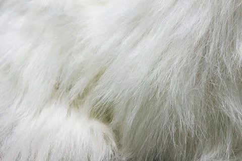 Fur background Stock Photos