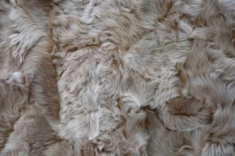 Fur background texture Stock Photos