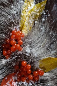 Fur with berry Stock Photos