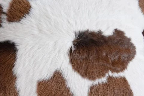 Fur carpet Stock Photos