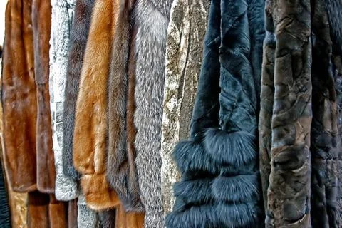 Fur clothes 2 Stock Photos