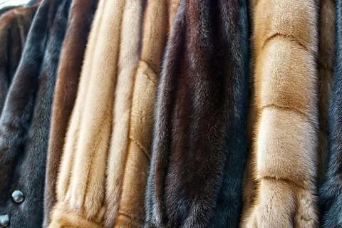 Fur clothes 2 Stock Photos