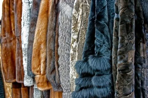 Fur Clothes 2 Stock Photos