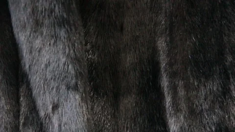 Fur coat black Stock Footage 76927080