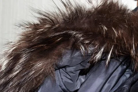 Fur collar down jacket Foto stock