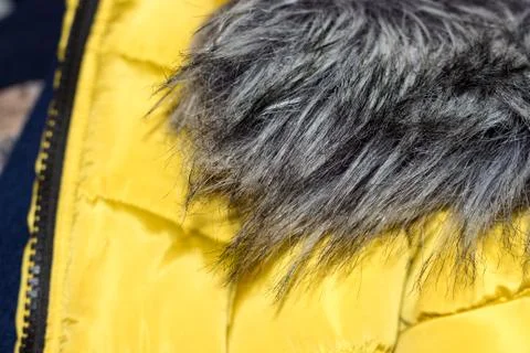 Fur collar down jacket Stock-Fotos