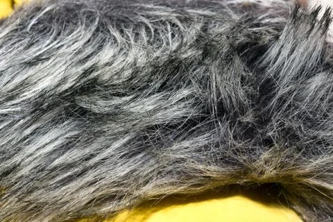 Fur collar down jacket Foto stock