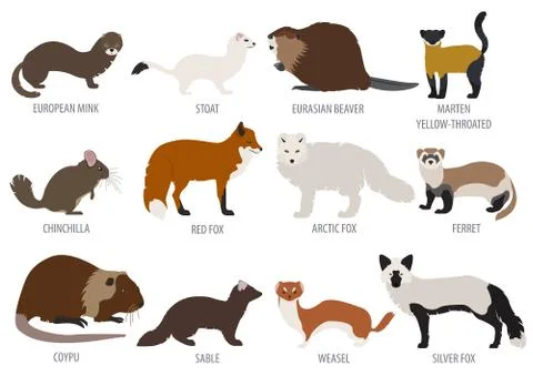 Fur farming. Flat design Illustrazione stock