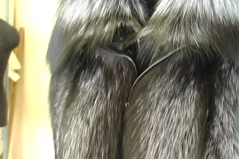 Fur Stock Footage 1002079
