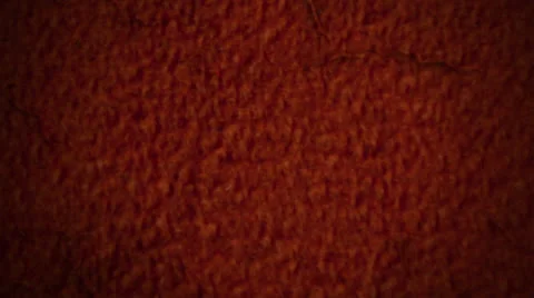 In the Fur Stock Footage 25636968