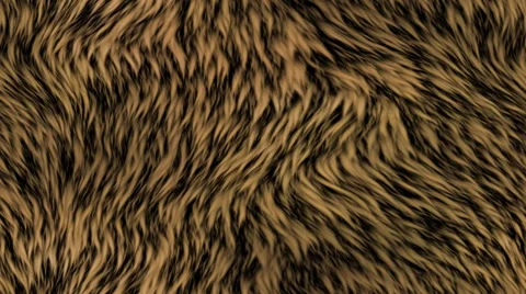 Fur generated seamless loop video Stock Footage 67101940