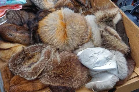 Fur hide hats Stock Photos