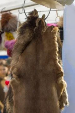 Fur hides Stock Photos
