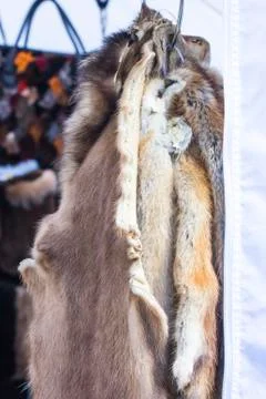 Fur hides Foto stock