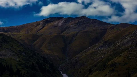 Fur mount 스톡 동영상 85001655