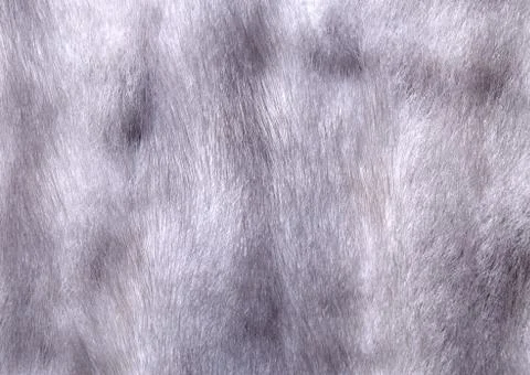 Fur Stock Photos