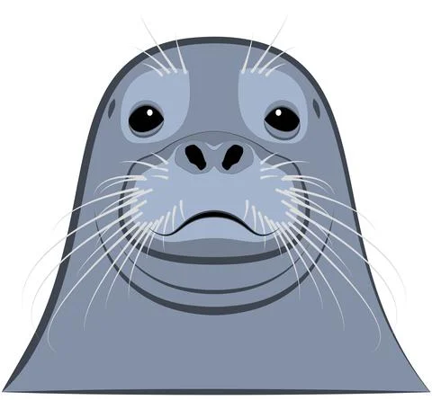 Fur seal head with mustache close-up Stock Illustration