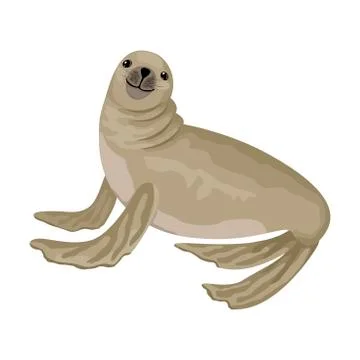 Fur seal is smiling. Vector isolated animal character. Stock Illustration