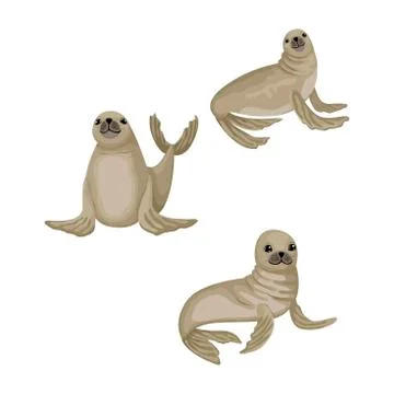 Fur seals in different poses. Set of isolated animals on white background Stock Illustration