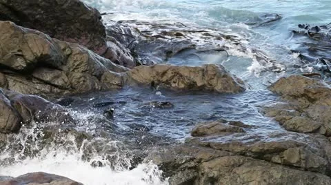 Fur seals playing Video stock 10922480