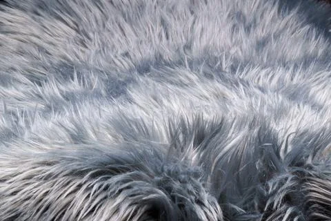 A fur-like silver gray carpet structure, close-up Stock Photos