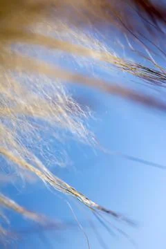 Fur texture background Stock Photos