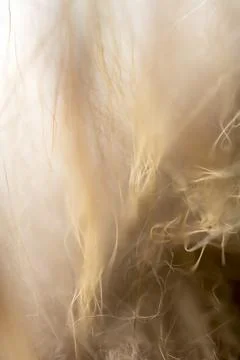 Fur texture background Foto stock