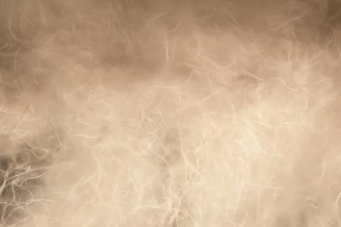 Fur texture background Stock Photos