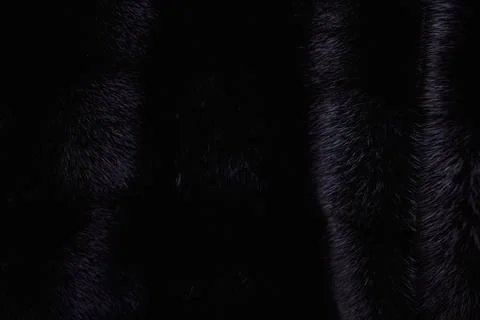 Fur texture for background. Fotos de archivo