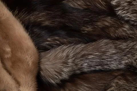 Fur texture close up background Fur Textured Background Stock Photos