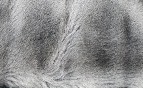 Fur texture Foto stock