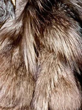 Fur texture. 스톡 사진