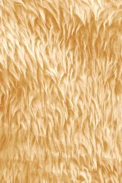 Fur texture Stock Photos