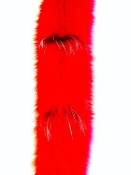 Fur texture. Foto stock