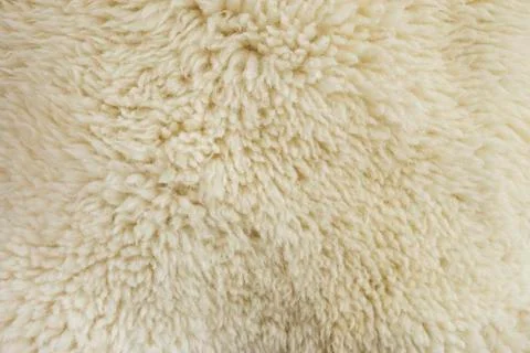 Fur texture Stock Photos