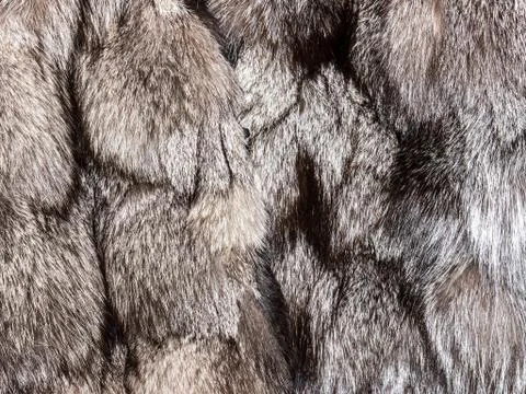 The Fur texture. 스톡 사진