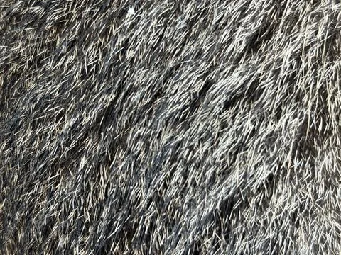 Fur texture Stock Photos