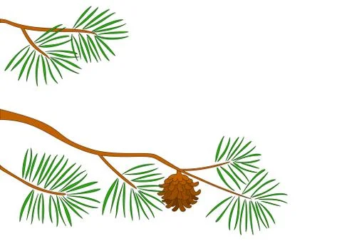 Fur-tree branch Stock Illustration