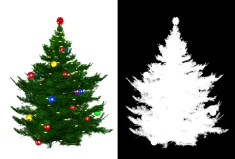 Fur-tree Stock-Footage 562855