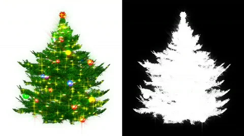 Fur-tree Stock Footage 566441