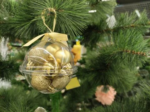 Fur tree, New Year tree close view Stock Photos