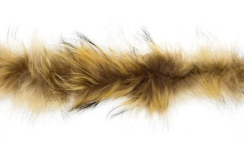 Fur on white background Stock Photos