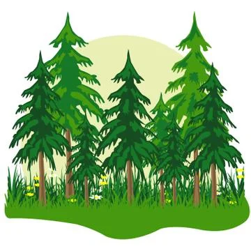 Fur wood Illustrazione stock