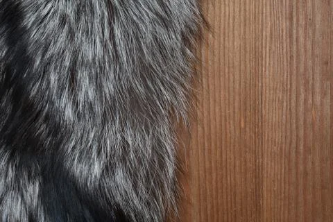 Fur on wood Stock Photos