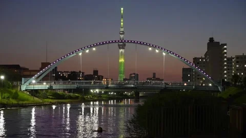 Fureai Bridge and Tokyo Skytree Night View at Kyu-Nakagawa Waterfront Park Vidéo 344518436